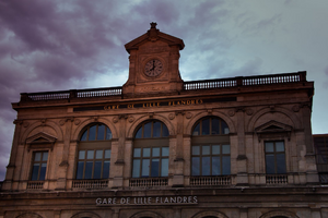 Traitement punaises de lit Lille