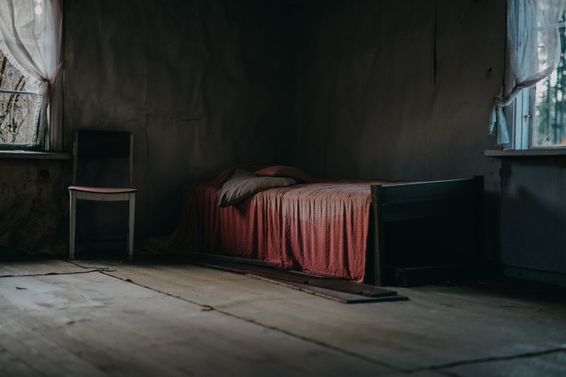 Traitement punaises de lit à Lille